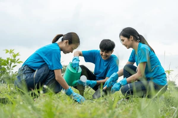 Tree plantation CSR activity