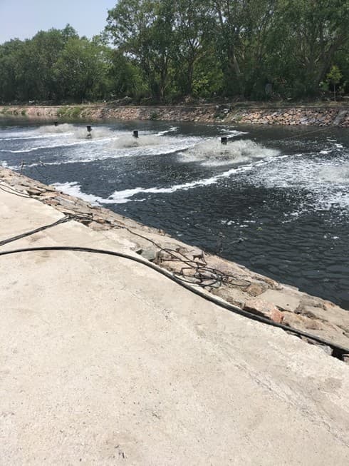 Sewage Treatment Plant image